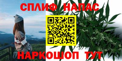 крисы Балашиха